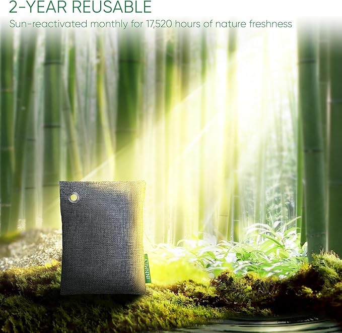 Activated Charcoal Odor Absorber, Odor Eliminator for Strong Odor,Bamboo Charcoal Air Purifying Bags for Home Car Closet Pet, Smoke Room Deodorizer (12 Packs, Unscented)-CasaMuseHome