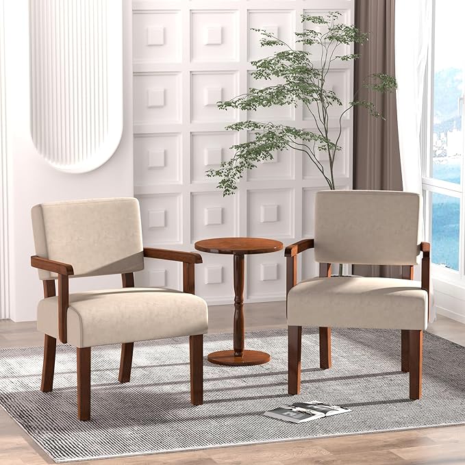 Accent Chair, Cat-Scratch Velvet Living Room Chairs Oversize with Soft Seat and Armrests for Dinning Room Bedroom Reading Room Waiting Room-CasaMuseHome