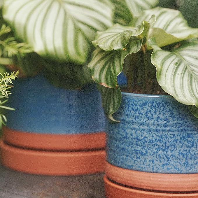 8 Inch Pots for Plants, Ceramic Planter Pot with Drainage Hole & Saucer, Indoor/Outdoor Cylinder Round Planter Pot, Blue & Terracotta-CasaMuseHome