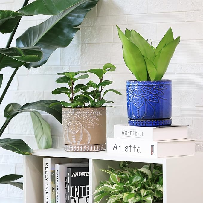 6 Inch Indoor Plant Pots with Drainage Holes and Saucers, Ceramic Planter for Plants, Flower Pot - Set of 2-CasaMuseHome