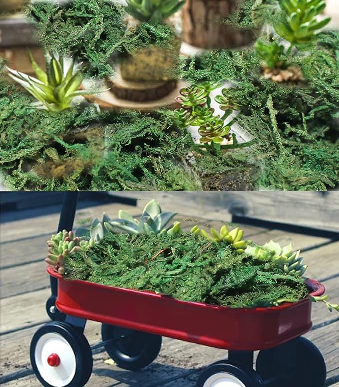 35 OZ Artificial Moss for Fake Plants and Planters - Decorative Faux Moss for Craft and Home Decor-CasaMuseHome