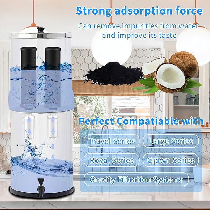 4 Pack Fluoride Water Filter,Replacement for PF-2® Fluoride Filters, Fluoride and Arsenic Filter Compatible with Berkey Gravity Filtration System、 Big、 Travel、 Royal、Imperial and Crown Series-CasaMuseHome
