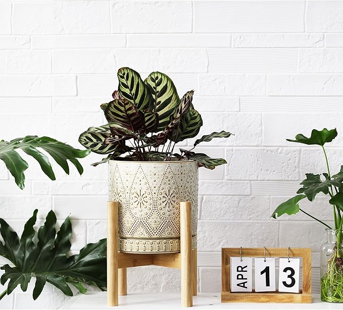 8 Inch Plant Pot with Stand, Ceramic Planter with Drainage Holes, Saucers and Mesh Pads for Indoor-Outdoor Plants-CasaMuseHome