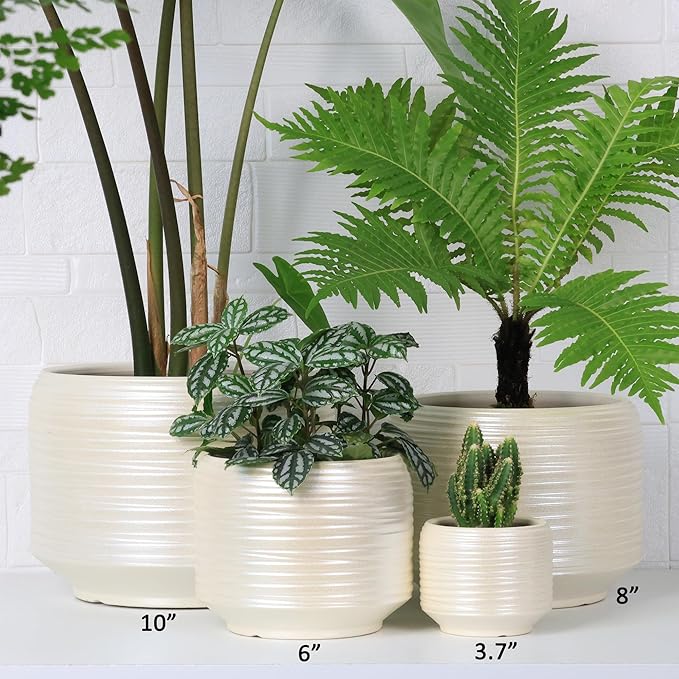 8 Inch + 6 Inch Ceramic Plant Pots Indoor with Drainage – Flower Pot Set, Decorative Indoor Planters for House Plants and Garden Use-CasaMuseHome