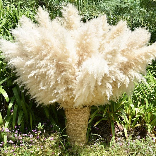 40" 33PCS Dried Pampas Grass Decor Tall,Large Natural Beige pompas Grass Tall Pampas Grass for Floor Vase,Wedding,Party,Farmhouse,Boho Home Decor,and Creating a Bohemian Ambiance-CasaMuseHome