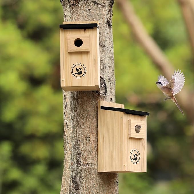 2 Pack Bird Houses for Outside,Bird House kit,Hummingbird House,Blue Bird House Outdoor Wren Swallow Finch-CasaMuseHome