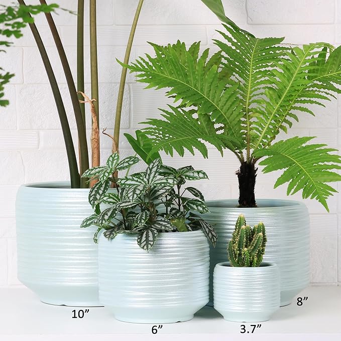 8 Inch + 6 Inch Ceramic Plant Pots Indoor with Drainage – Flower Pot Set, Decorative Indoor Planters for House Plants and Garden Use-CasaMuseHome
