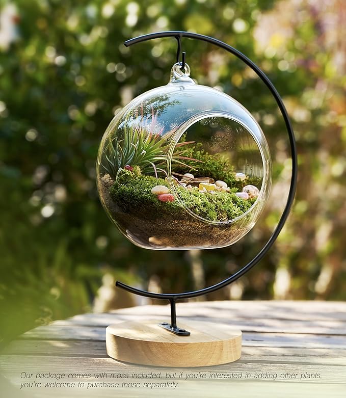 15-Piece Terrarium Kit with Live Moss – DIY Glass Globe Set with Tools, Soil, Stones & Spray Bottle – Indoor Mini Garden Gift for Plant Lovers, Home Decor & Zen Craft-CasaMuseHome