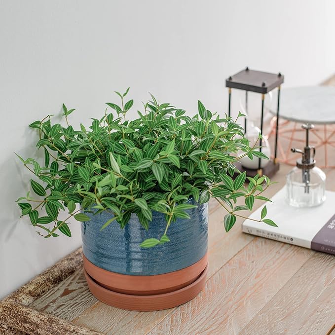 8 Inch Pots for Plants, Ceramic Planter Pot with Drainage Hole & Saucer, Indoor/Outdoor Cylinder Round Planter Pot, Blue & Terracotta-CasaMuseHome