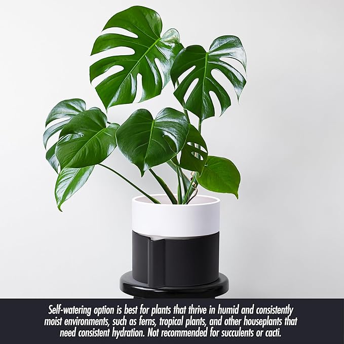 8 Inch Self-Watering Planter Pot with Terracotta Insert, Deep Water Reservoir, and Ceramic-Alike BPA-Free Plastic Planter Pot for Plant, Modern Planter for Houseplants, Black/White, 53-C-T-7-CasaMuseHome
