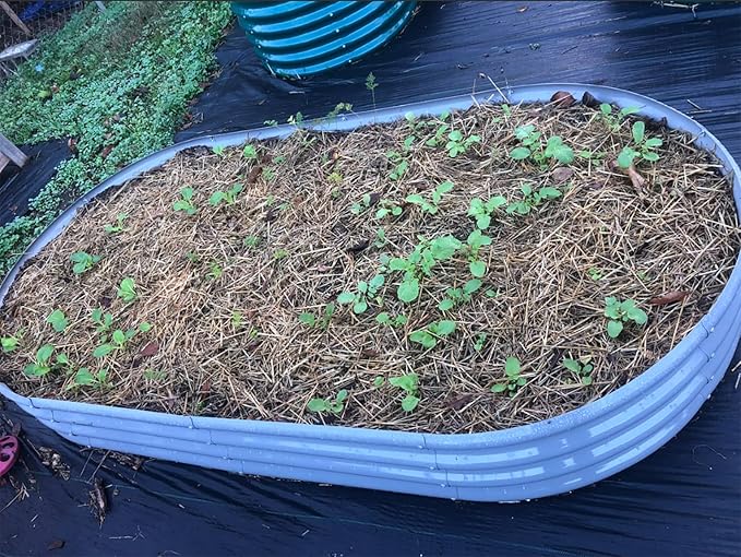 2 Pack 8x4x1FT Galvanized Raised Garden Bed Kit Oval Metal Ground Planter Box Outdoor Bottomless Planter Raised Beds for Vegetables Flowers Herbs Fruits, Gray-CasaMuseHome