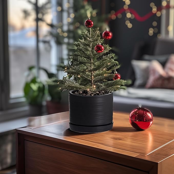 8 Inch Pots for Plants, Ceramic Planter Pot with Drainage Hole & Saucer, Indoor/Outdoor Cylinder Round Planter Pot, Matte Black-CasaMuseHome