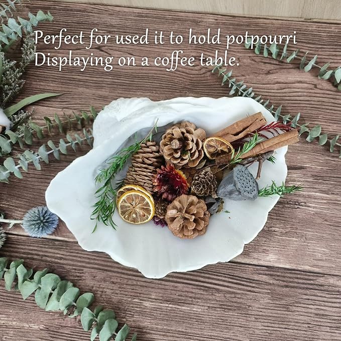 Accessoryway Large White Sea Shells Decorative Bowl Resin Clam Shell Bowl Beach Decorations for Home Coastal Beach Decor Decoration Storage Bowls & Home Office Nautical Themed Party Decor -10.2"-1PC-CasaMuseHome