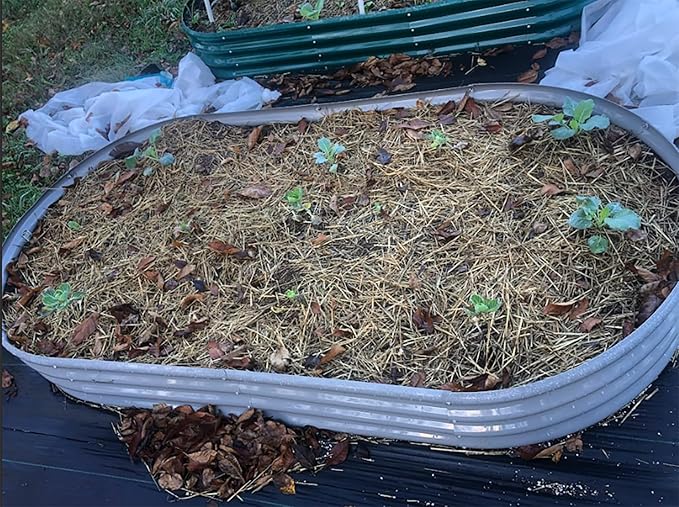 2 Pack 8x4x1FT Galvanized Raised Garden Bed Kit Oval Metal Ground Planter Box Outdoor Bottomless Planter Raised Beds for Vegetables Flowers Herbs Fruits, Gray-CasaMuseHome