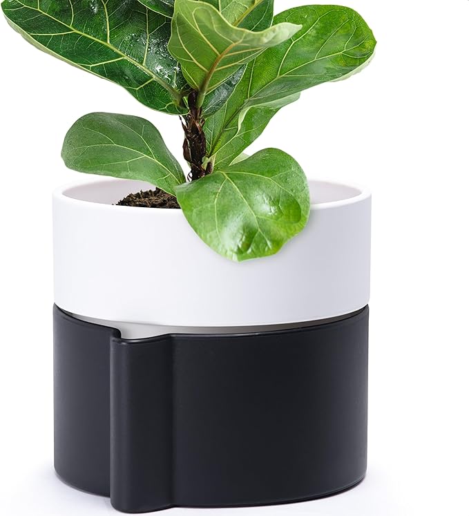 8 Inch Self-Watering Planter Pot with Terracotta Insert, Deep Water Reservoir, and Ceramic-Alike BPA-Free Plastic Planter Pot for Plant, Modern Planter for Houseplants, Black/White, 53-C-T-7-CasaMuseHome