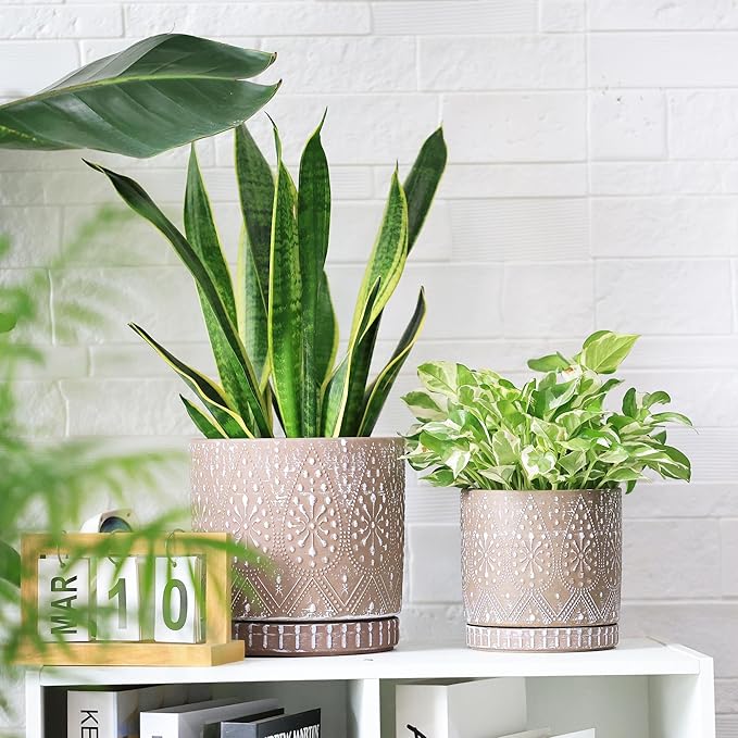 8 Inch + 6 Inch Plant Pot with Drainage Holes and Saucers, Indoor Ceramic Planter for Plants Succulent Orchid Flower Pots-CasaMuseHome