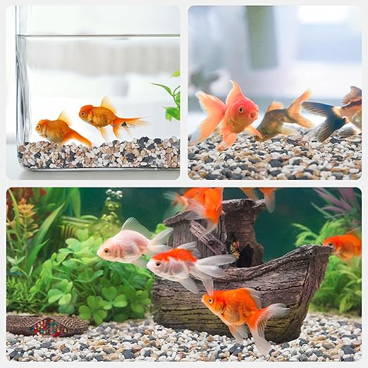 5 lbs Small Rocks for Plants, 1/5 Inch Pebbles for Indoor Plants, Natural Decorative Pea Gravel for Aquarium, Fish Tank, Terrarium, Succulents, Bamboo Plants, Vases, Cactus, Crafts-CasaMuseHome