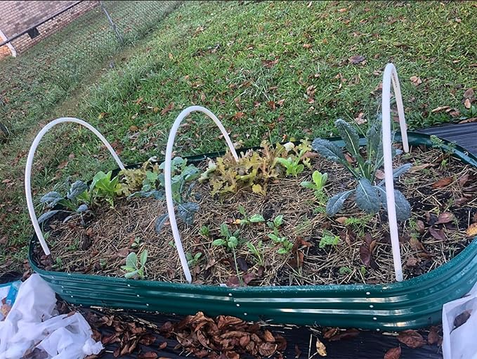 2 Pack 8x3x1FT Galvanized Raised Garden Bed Large Metal Planter Box Kit Elevated Raised Garden Planters for Outdoor Plants, Green-CasaMuseHome