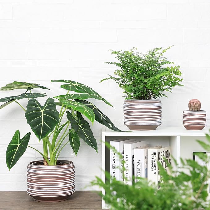 8 Inch + 6 Inch Ceramic Plant Pots Indoor with Drainage – Flower Pot Set, Decorative Indoor Planters for House Plants and Garden Use-CasaMuseHome