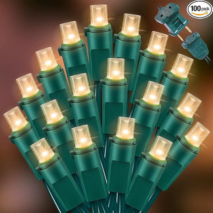 100 Count Warm White - String Lights - 21.6FT LED Christmas Lights, Mini led Lights for Indoor Outdoor Home Holiday Party Wedding Independence Day Decoration-CasaMuseHome