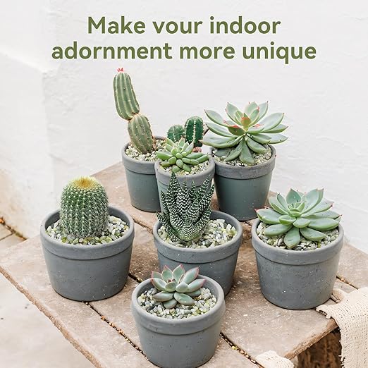 5LB Succulent and Cactus Pebbles, 1/5 Inch Jade Pebbles for Indoor Plants, Decorative Gravel for Vases, Bamboo, Succulent, Terrarium, Crafts, Cactus-CasaMuseHome