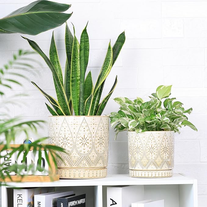 8 Inch + 6 Inch Indoor Plant Pot with Drainage Holes and Saucers, Ceramic Planter for Plants, Succulent Orchid Flower Pots-CasaMuseHome