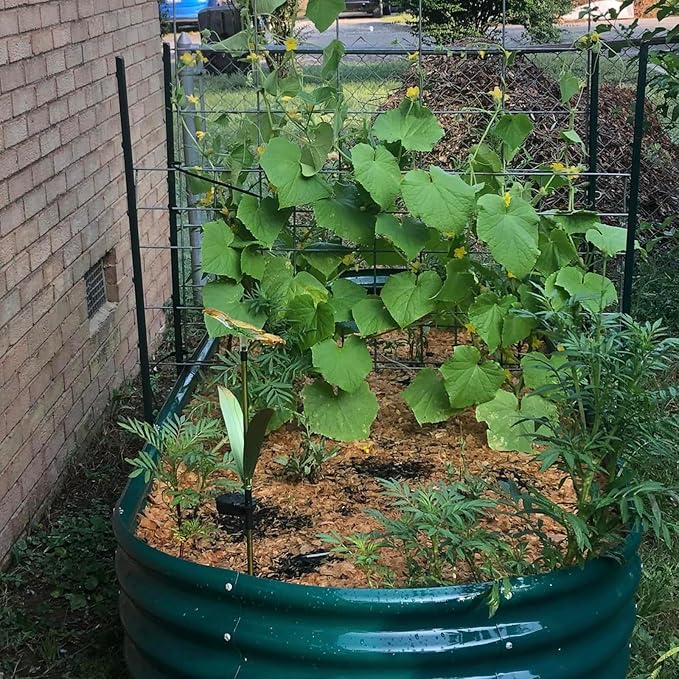 2 Pack 8x3x1FT Galvanized Raised Garden Bed Large Metal Planter Box Kit Elevated Raised Garden Planters for Outdoor Plants, Green-CasaMuseHome