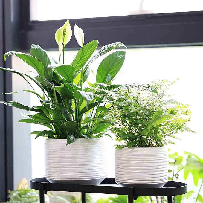 8 Inch + 6 Inch Ceramic Plant Pots Indoor with Drainage – Flower Pot Set, Decorative Indoor Planters for House Plants and Garden Use-CasaMuseHome