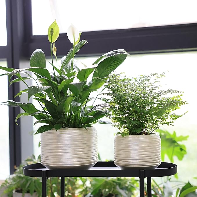 8 Inch + 6 Inch Ceramic Plant Pots Indoor with Drainage – Flower Pot Set, Decorative Indoor Planters for House Plants and Garden Use-CasaMuseHome