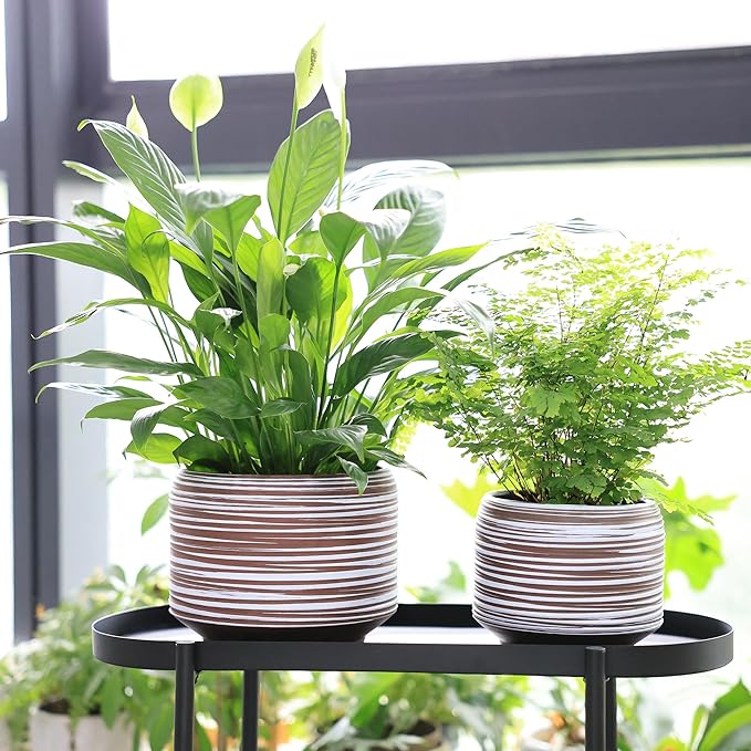 8 Inch + 6 Inch Ceramic Plant Pots Indoor with Drainage – Flower Pot Set, Decorative Indoor Planters for House Plants and Garden Use-CasaMuseHome