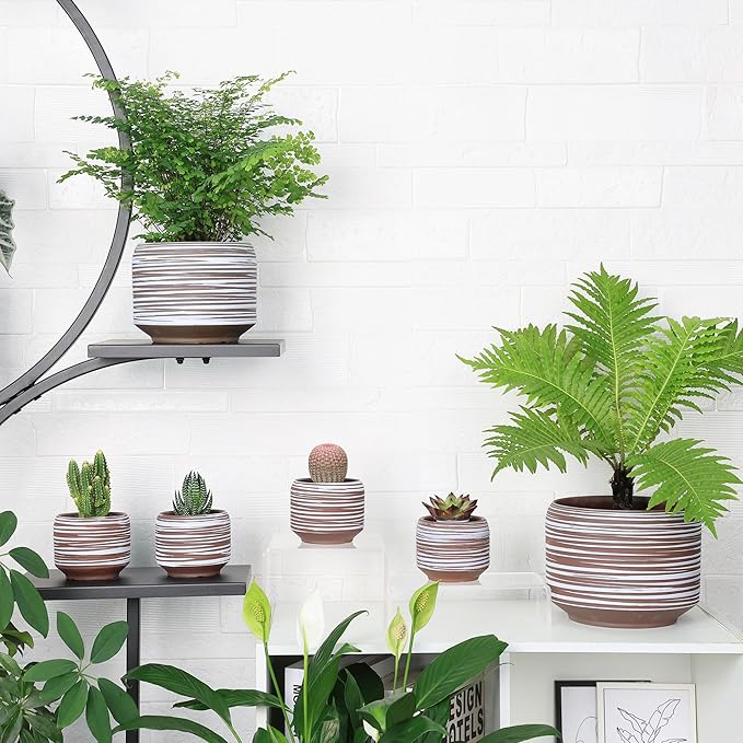 8 Inch + 6 Inch Ceramic Plant Pots Indoor with Drainage – Flower Pot Set, Decorative Indoor Planters for House Plants and Garden Use-CasaMuseHome