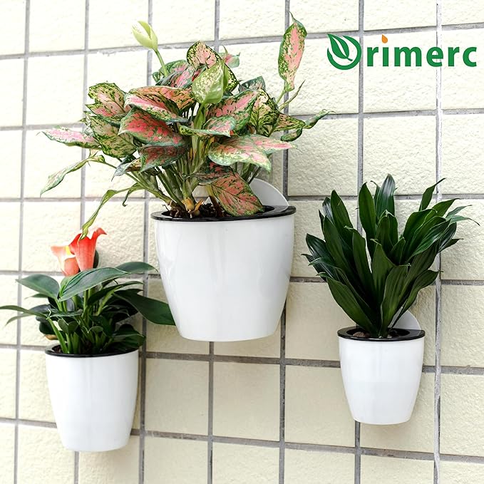 3 Pack Self Watering Wall Hanging Planter Pots Vertical Garden Window Hang Mount Indoor Outdoor Plant Flower Basket for Kitchen Herbs Balcony Railing Shelf Fence Bedroom Trellis Decor Modern White Box-CasaMuseHome