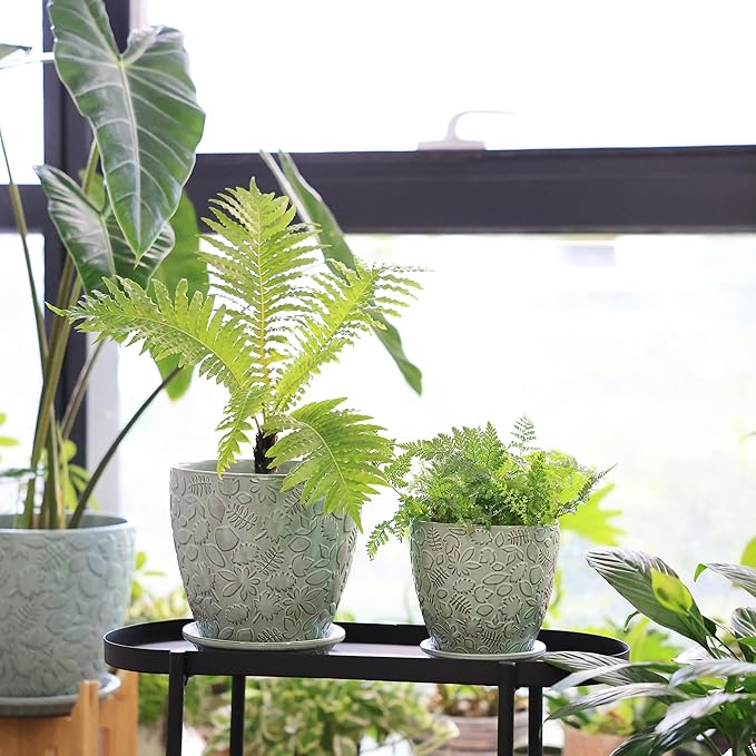 8 Inch + 6 Inch Plant Pots for Indoor Plants, Ceramic Planter with Drainage Hole and Saucers, Garden Pots for Succulent, Orchid, and Flower, Set of 2-CasaMuseHome