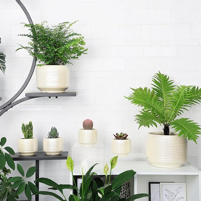 8 Inch + 6 Inch Ceramic Plant Pots Indoor with Drainage – Flower Pot Set, Decorative Indoor Planters for House Plants and Garden Use-CasaMuseHome