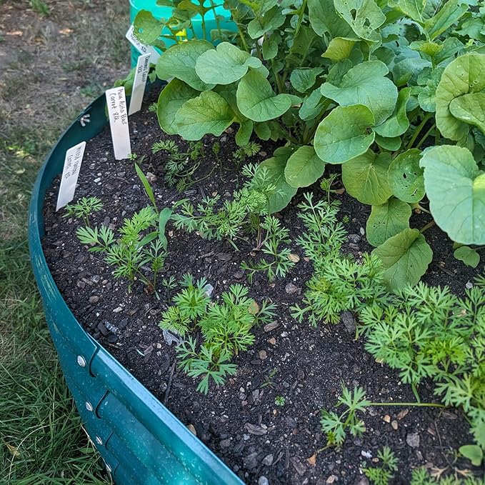 2 Pack 8x4x1FT Galvanized Raised Garden Bed Kit Oval Metal Ground Planter Box Outdoor Bottomless Planter Raised Beds for Vegetables Flowers Herbs Fruits, Green-CasaMuseHome