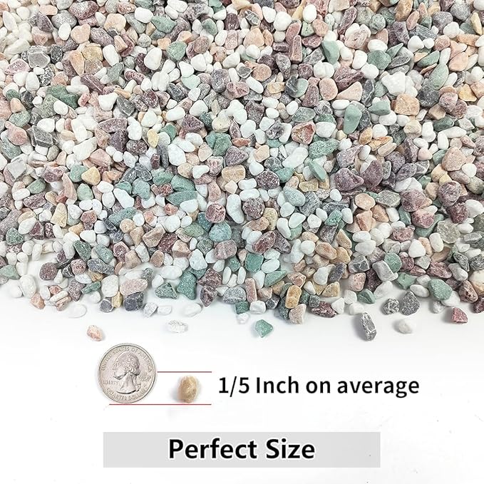 5LB Succulent and Cactus Gravel Pebbles, 1/5 Inch Natural Decorative Polished Stones, River Rocks for Vases Gardening Indoor and Outdoor Decorative Rocks, Colorful-CasaMuseHome