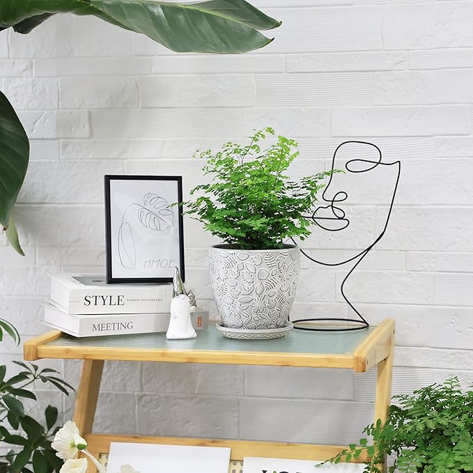 6 Inch Ceramic Planter Pots with Drainage Hole and Saucers for Indoor Plants, Garden Pots for Succulent, Orchid, and Flower - Set of 2-CasaMuseHome