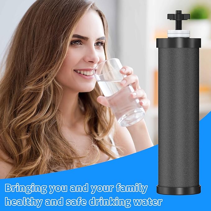 2 Pack Black Filters, Water Filter Replacement for Berkey BB9-2, Compatible with Berkey Gravity Water Filter Systems-CasaMuseHome