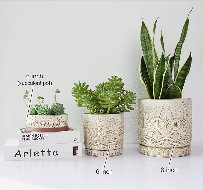 8 Inch Indoor Plant Pot with Drainage Holes and Saucers, Ceramic Planter for Plants, Succulent Orchid Flower Pots-CasaMuseHome