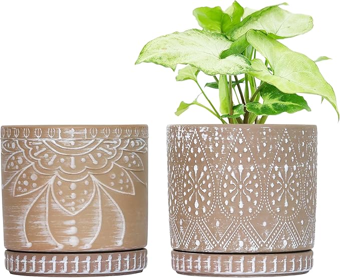 6 Inch Indoor Plant Pots with Drainage Holes and Saucers, Ceramic Planter for Plants, Flower Pot - Set of 2-CasaMuseHome