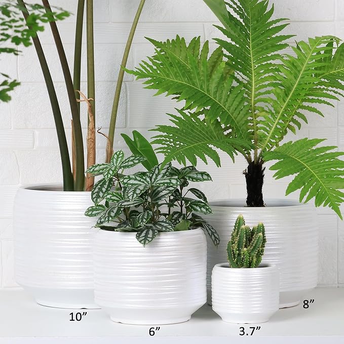 8 Inch + 6 Inch Ceramic Plant Pots Indoor with Drainage – Flower Pot Set, Decorative Indoor Planters for House Plants and Garden Use-CasaMuseHome