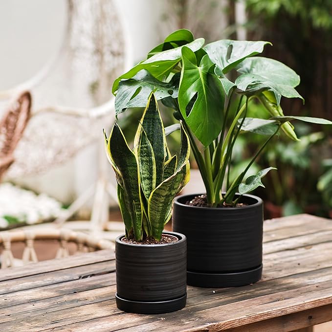 6 + 8 Inch Plant Pots, Ceramic Planter Pot with Drainage Hole & Saucer, Indoor/Outdoor Cylinder Round Planter Pot, Matte Black-CasaMuseHome