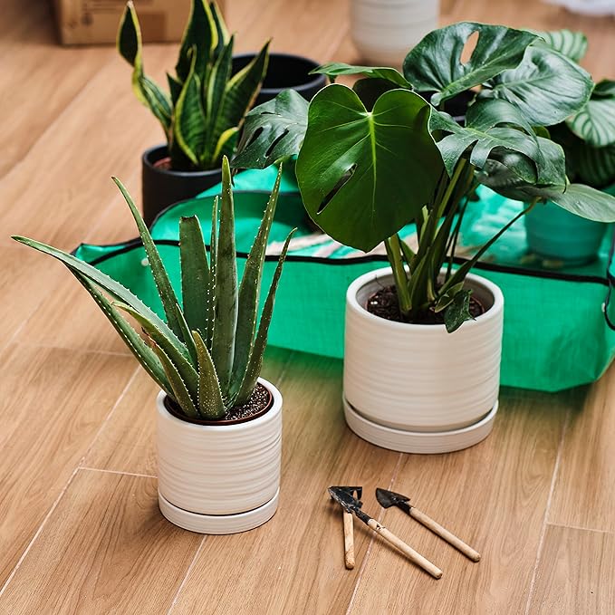 6 + 8 Inch Plant Pots, Ceramic Planter Pot with Drainage Hole & Saucer, Indoor/Outdoor Cylinder Round Planter Pot, Matte White-CasaMuseHome