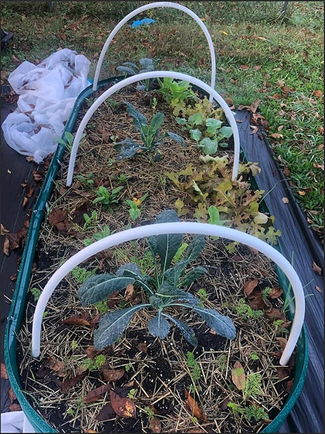 2 Pack 8x4x1FT Galvanized Raised Garden Bed Kit Oval Metal Ground Planter Box Outdoor Bottomless Planter Raised Beds for Vegetables Flowers Herbs Fruits, Green-CasaMuseHome