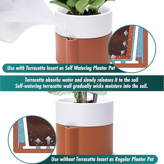 6.5 Inch Self-Watering Planter Pot with Terracotta Insert, Deep Water Reservoir, and Ceramic-Alike BPA-Free Plastic Pot for Plant, Modern Planter for Houseplants, Terracotta/White, 53-B-S-6-CasaMuseHome