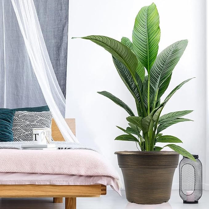 16 inch Plant Pots Outdoor Planters，4 Pack Large Plastic Flower Pot for Indoor Plants with Drainage Holes & Saucer, Resin Decorative Container Sets with Trays for House Outdoor Garden Plant Dark Gold-CasaMuseHome