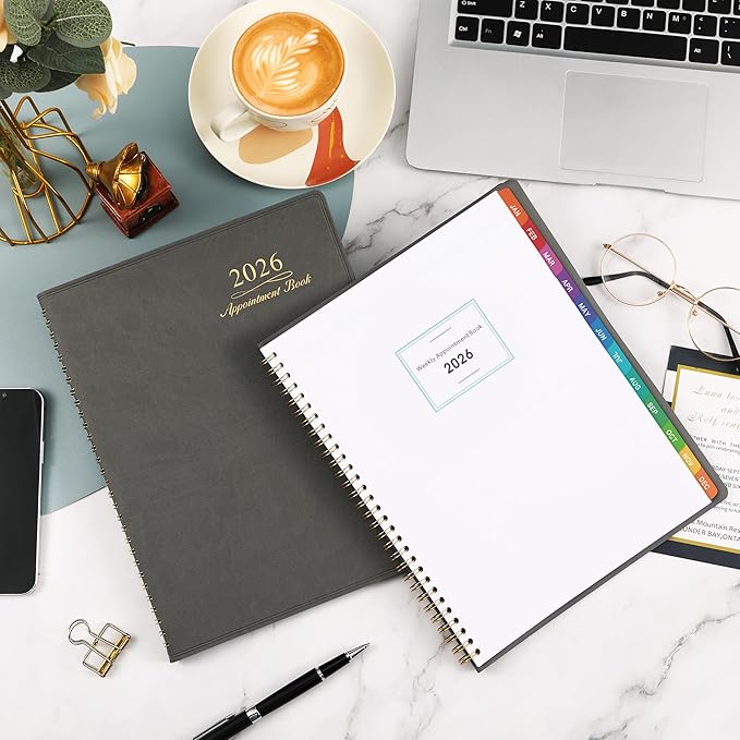 2026 Weekly Appointment Book - Appointment Book 2026, Jan 2026 - Dec 2026, Daily/Hourly Planner with Tabs, 15 Minutes, 8.26"x 11.4", Wirebound - Grey-CasaMuseHome