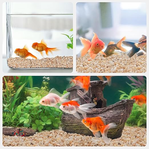 5 lbs Coarse Silica Sand for Indoor Plants, 1/5 Inch Natural Decorative Gravel for Vases, Aquariums, Terrarium, Fish Tank, Drainage Rocks for Potted Plants, Bamboo, Succulent, Crafts, Cactus-CasaMuseHome