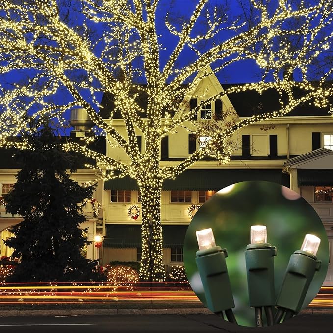 60 LED Warm White String Light - LED Christmas Lights, Mini led Lights for Indoor Outdoor Home Holiday Party Wedding Independence Day Decoration-CasaMuseHome