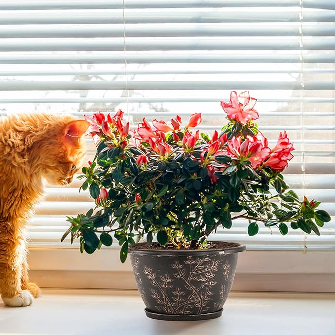 12-inch-Flower-Pots-Outdoor-Indoor, 4 Pack Plastic Planter Pots for Plant with Drainage Hole Saucer, Decorative Resin Garden Container with Tray-CasaMuseHome